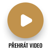 přehrát video
