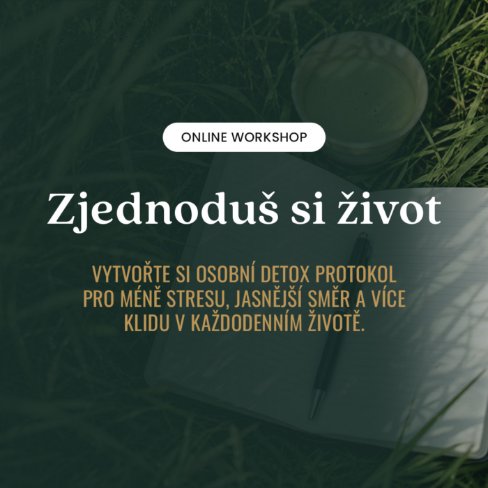 Zjednoduš si život: Online workshop pro méně stresu, zahlcenosti a klid mysli